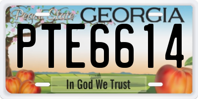 GA license plate PTE6614