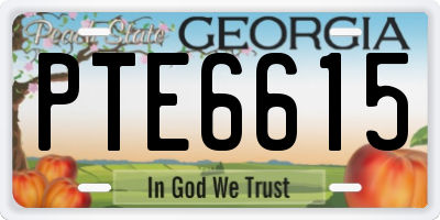 GA license plate PTE6615