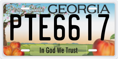 GA license plate PTE6617