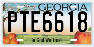 GA license plate PTE6618