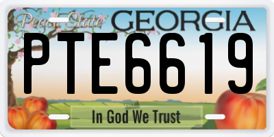 GA license plate PTE6619