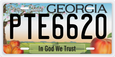 GA license plate PTE6620