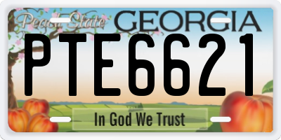 GA license plate PTE6621