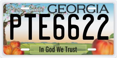 GA license plate PTE6622