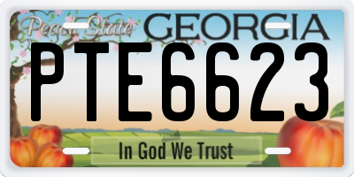 GA license plate PTE6623