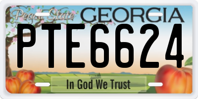 GA license plate PTE6624