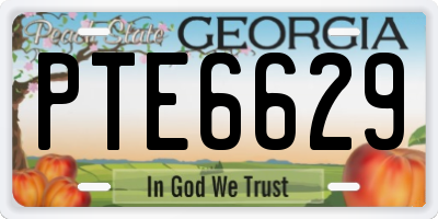GA license plate PTE6629