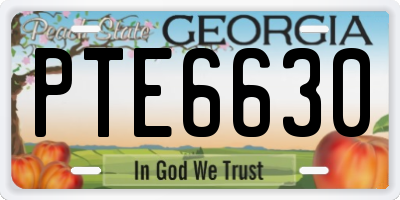GA license plate PTE6630