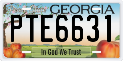 GA license plate PTE6631