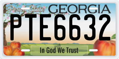 GA license plate PTE6632