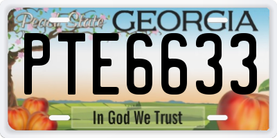 GA license plate PTE6633