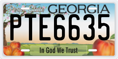 GA license plate PTE6635