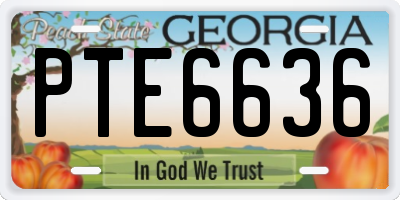 GA license plate PTE6636