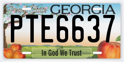 GA license plate PTE6637