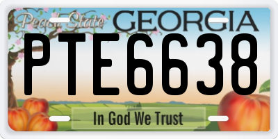 GA license plate PTE6638