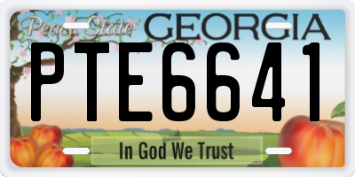GA license plate PTE6641