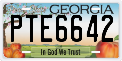 GA license plate PTE6642