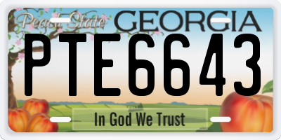 GA license plate PTE6643
