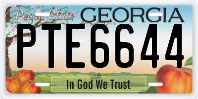 GA license plate PTE6644