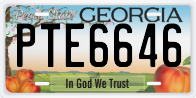 GA license plate PTE6646