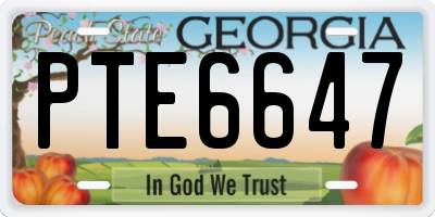 GA license plate PTE6647