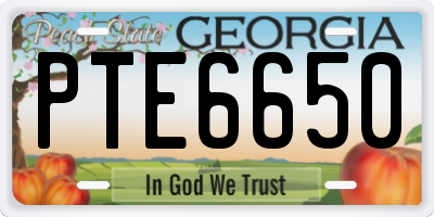GA license plate PTE6650