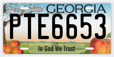 GA license plate PTE6653