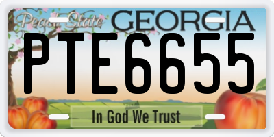 GA license plate PTE6655