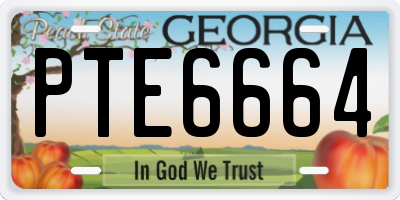 GA license plate PTE6664