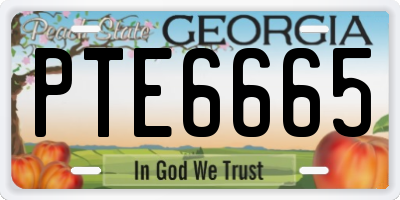GA license plate PTE6665