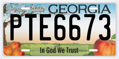 GA license plate PTE6673