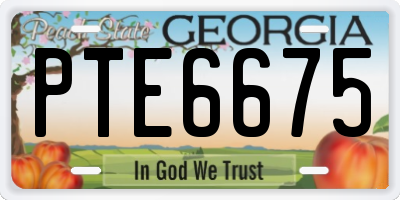 GA license plate PTE6675