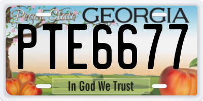 GA license plate PTE6677