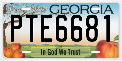 GA license plate PTE6681