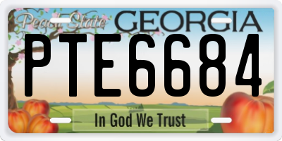 GA license plate PTE6684