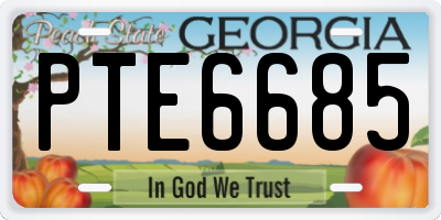 GA license plate PTE6685