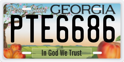 GA license plate PTE6686