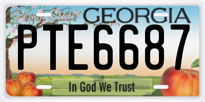 GA license plate PTE6687