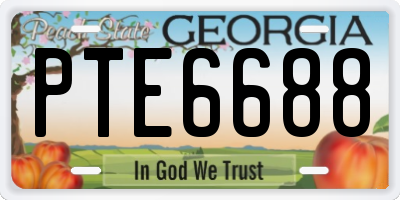 GA license plate PTE6688