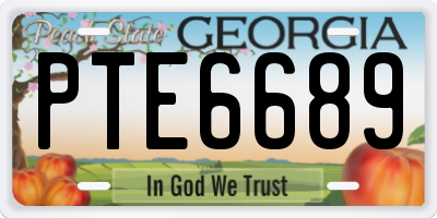 GA license plate PTE6689