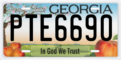 GA license plate PTE6690
