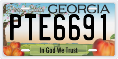 GA license plate PTE6691