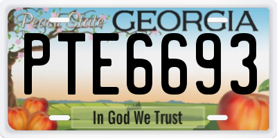 GA license plate PTE6693