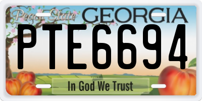 GA license plate PTE6694
