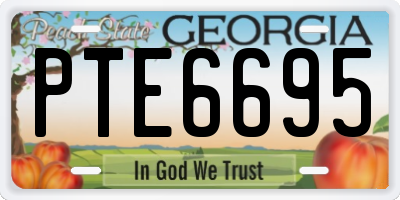 GA license plate PTE6695