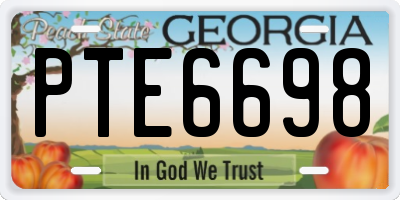 GA license plate PTE6698