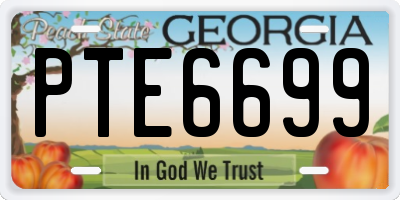 GA license plate PTE6699