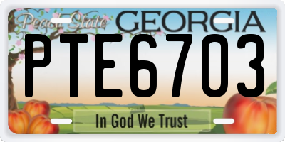 GA license plate PTE6703