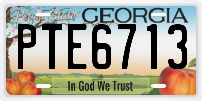GA license plate PTE6713