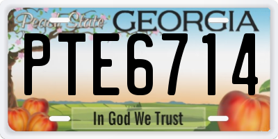 GA license plate PTE6714